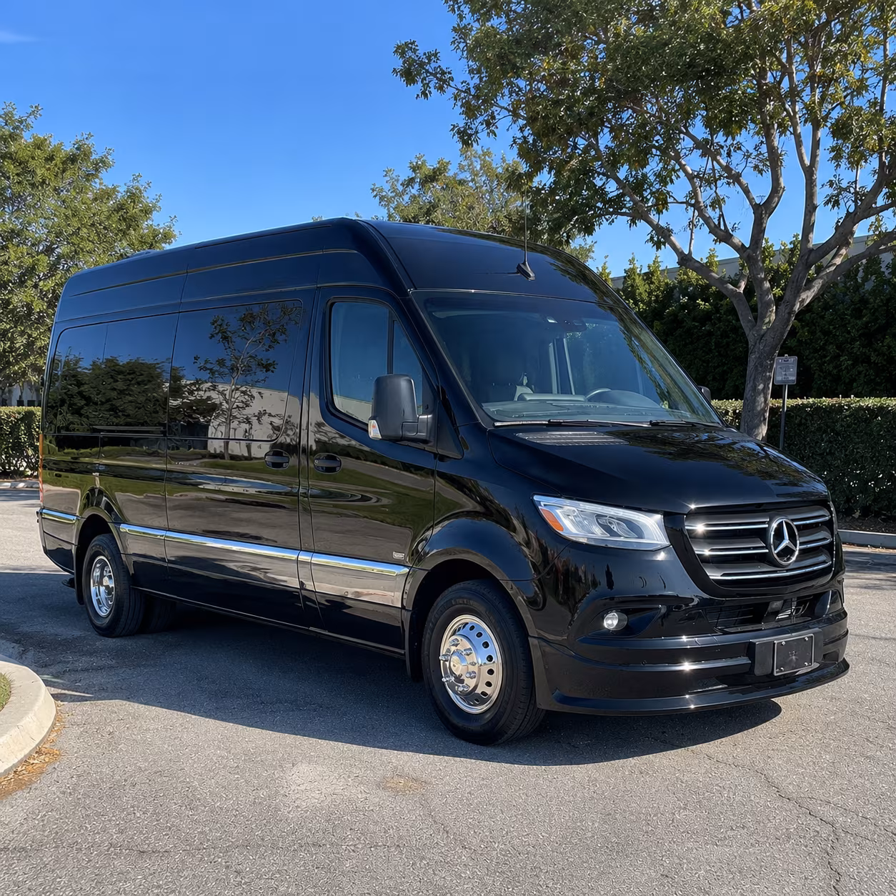 san mateo 8 passenger sprinter van
