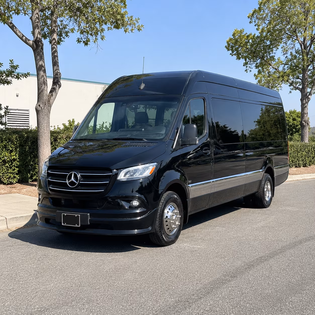 san mateo sprinter limousine